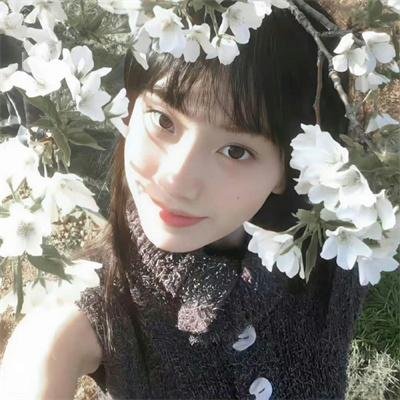 冰雪友情