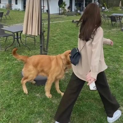 无解谜团
